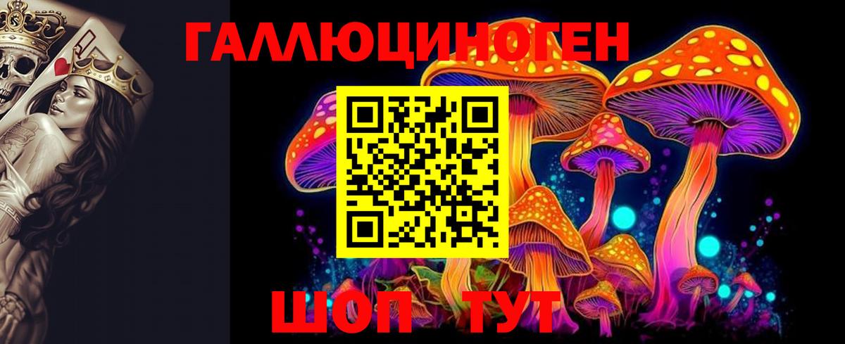 Торжок  Галлюциногенные грибы MAGIC MUSHROOMS  Вход с VPN  Псилоцибиновые грибы Psilocybe 